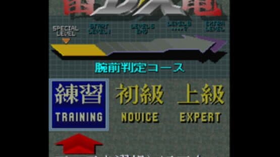 Raiden DX screenshot 3