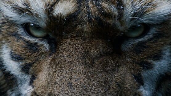 Black Myth: Zhong Kui screenshot 2