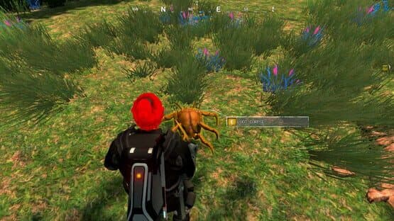 Outlanders: Exiles of Veridion screenshot 14