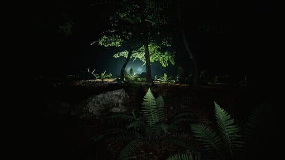 Skinwoods: The Full Cut screenshot 3