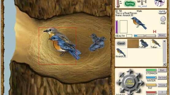 Web Earth Online screenshot 3