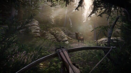 Kingdom Come: Deliverance II - Royal Edition screenshot 4