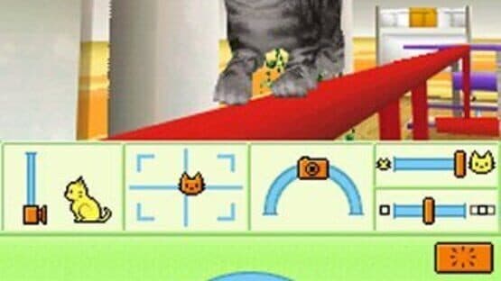 Petz: Catz Playground screenshot 1