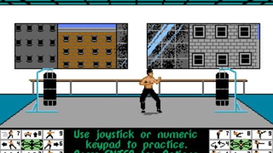 Bruce Lee Lives: The Fall of Hong Kong Palace screenshot 2