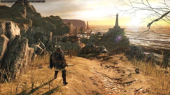 Dark Souls Trilogy screenshot 2