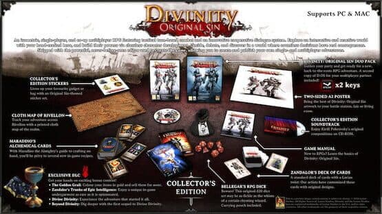 Divinity: Original Sin - Collector's Edition screenshot 1
