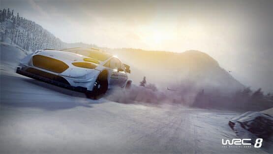 WRC 8 screenshot 3
