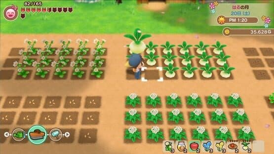 Story of Seasons: Friends of Mineral Town screenshot 2