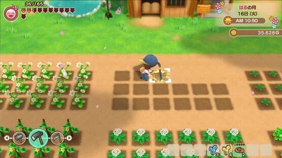 Story of Seasons: Friends of Mineral Town screenshot 4