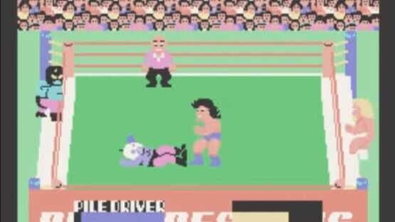 Champion Pro Wrestling screenshot 3