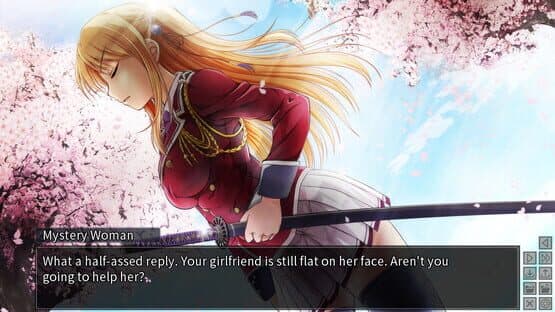 Master Magistrate screenshot 5