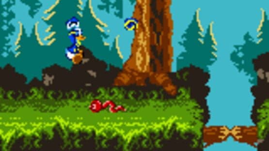 Disney's Donald Duck: Goin' Quackers screenshot 4