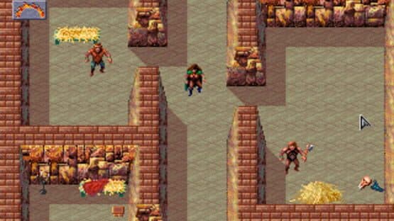 Dark Sun: Shattered Lands screenshot 4