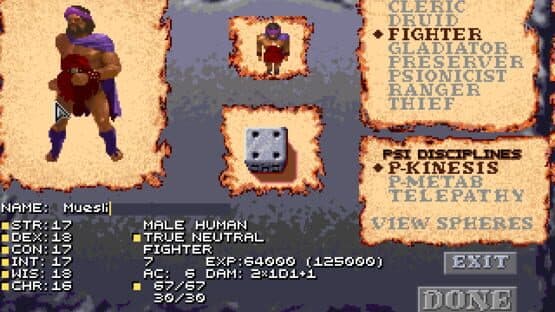 Dark Sun: Wake of the Ravager screenshot 3