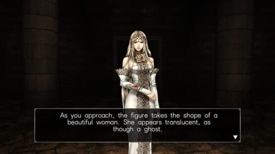 Wizardry: Labyrinth of Lost Souls screenshot 2