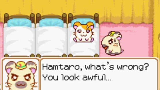 Hamtaro: Ham-Ham Heartbreak screenshot 8
