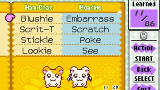 Hamtaro: Ham-Ham Heartbreak screenshot 7