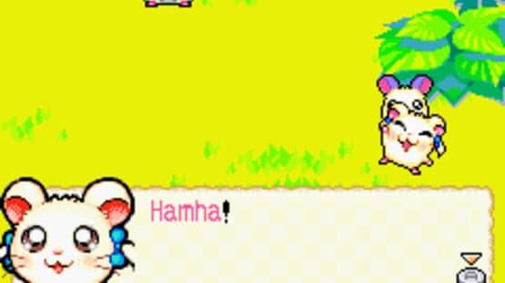 Hamtaro: Rainbow Rescue screenshot 2