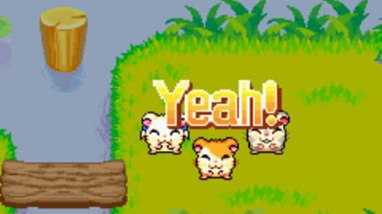 Hamtaro: Rainbow Rescue screenshot 10