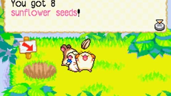 Hamtaro: Rainbow Rescue screenshot 9