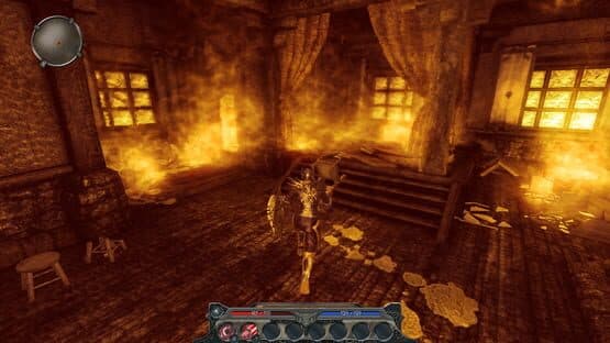 Divinity II: Flames of Vengeance screenshot 2