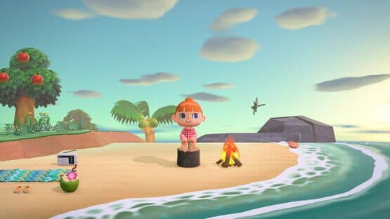 Animal Crossing: New Horizons screenshot 10