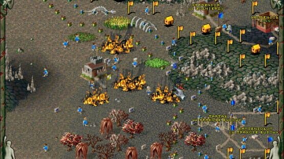 The Settlers II: Mission CD screenshot 3