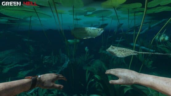 Green Hell screenshot 7