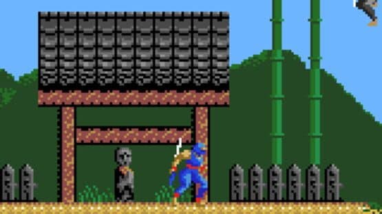 Ninja Gaiden screenshot 4