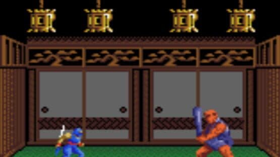 Ninja Gaiden screenshot 5