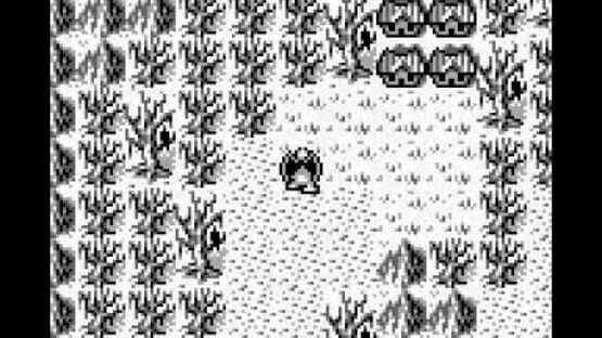 Gargoyle's Quest screenshot 2