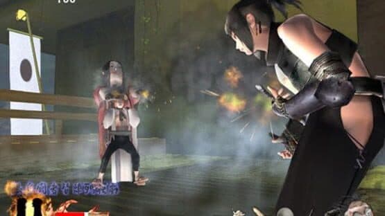 Tenchu: Return From Darkness screenshot 3