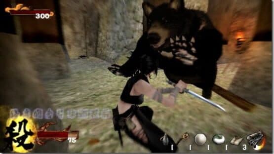 Tenchu 3 Portable screenshot 1