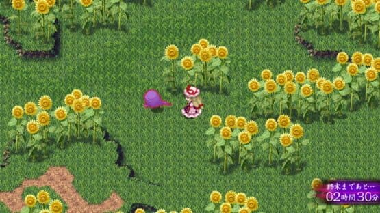 Touhou Genso Maroku W: The Devil of Decline screenshot 4