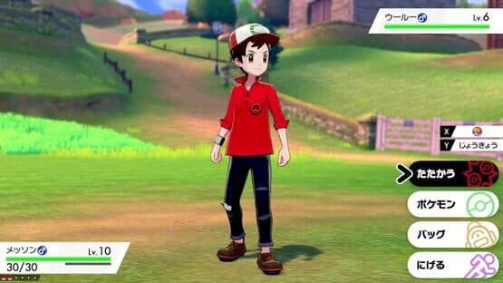 Pokémon Sword Expansion Pass screenshot 3