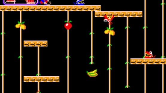 Donkey Kong Junior screenshot 2