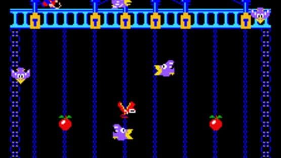 Donkey Kong Junior screenshot 3