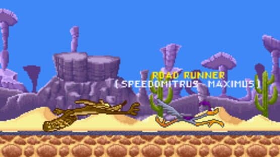 Road Runner's Death Valley Rally screenshot 3
