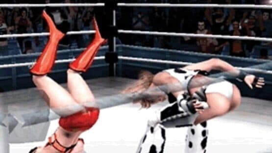 Rumble Roses screenshot 3