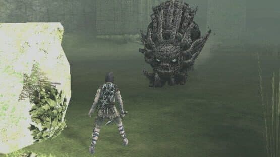Shadow of the Colossus: Limited Edition screenshot 5