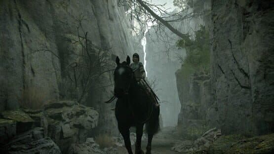 Shadow of the Colossus: Special Edition screenshot 9
