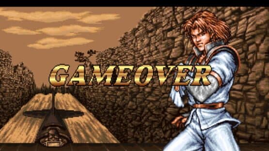 Double Dragon screenshot 6