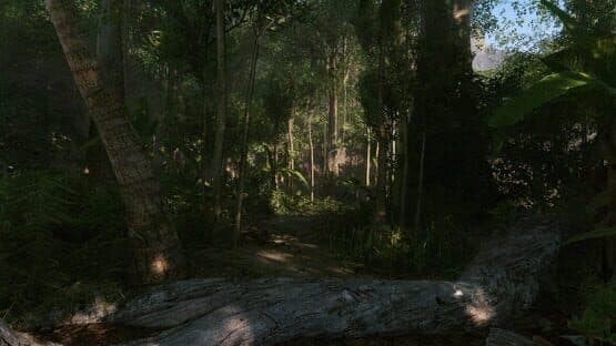 Crysis Remastered screenshot 2