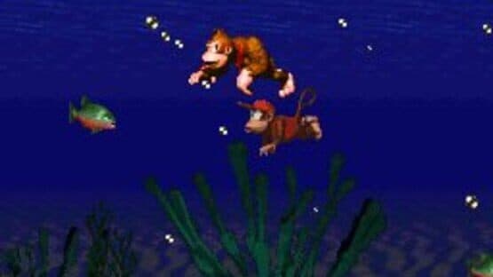 Donkey Kong Country screenshot 11