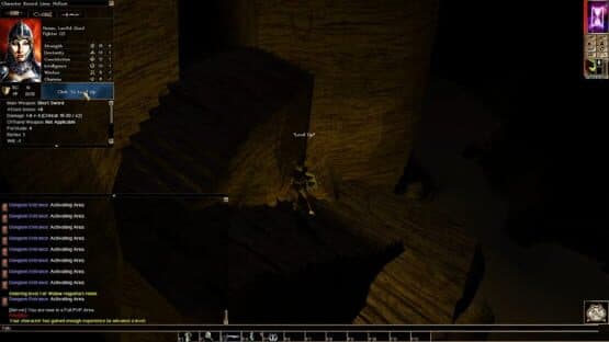 Neverwinter Nights: Infinite Dungeons screenshot 1