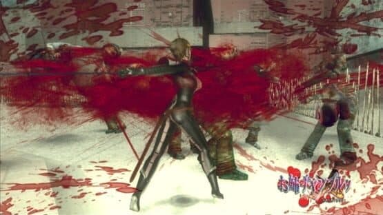 Onechanbara: Bikini Samurai Squad screenshot 8