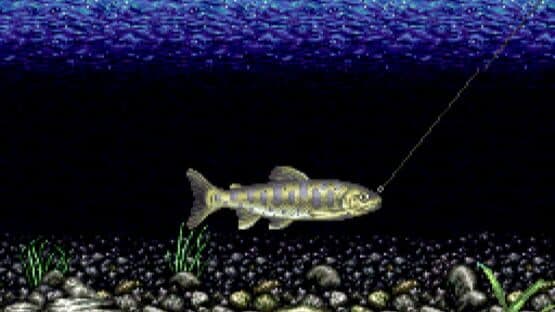 Kawa no Nushi Tsuri 2 screenshot 5