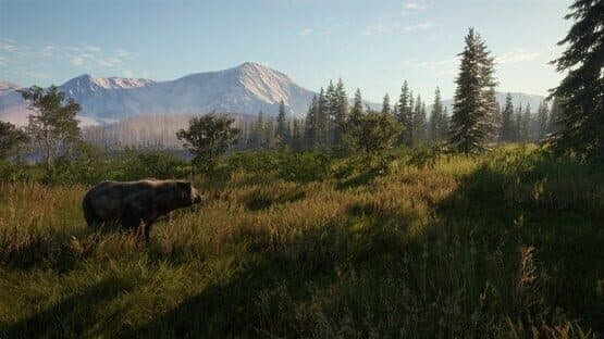 TheHunter: Call of the Wild - 2021 Edition screenshot 1