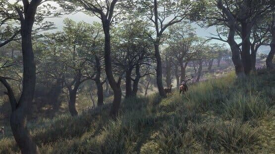 TheHunter: Call of the Wild - 2021 Edition screenshot 3