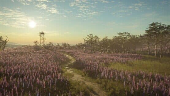 TheHunter: Call of the Wild - 2021 Edition screenshot 7